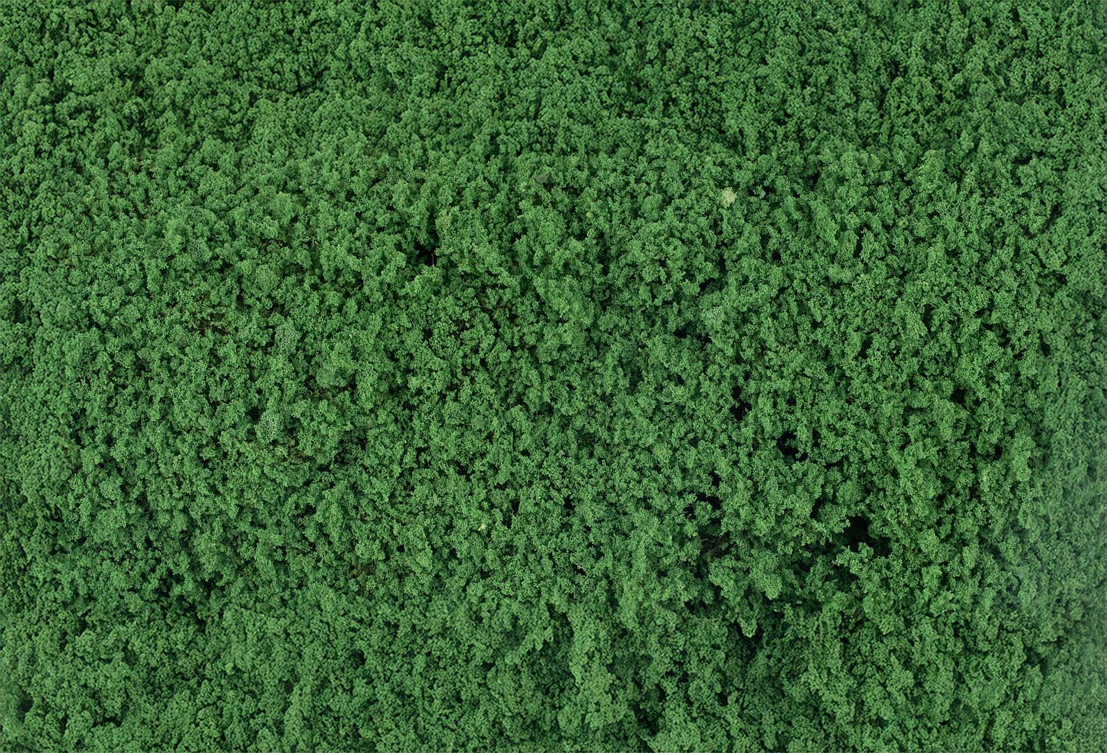 Blätterfoliage, Dunkelgrün