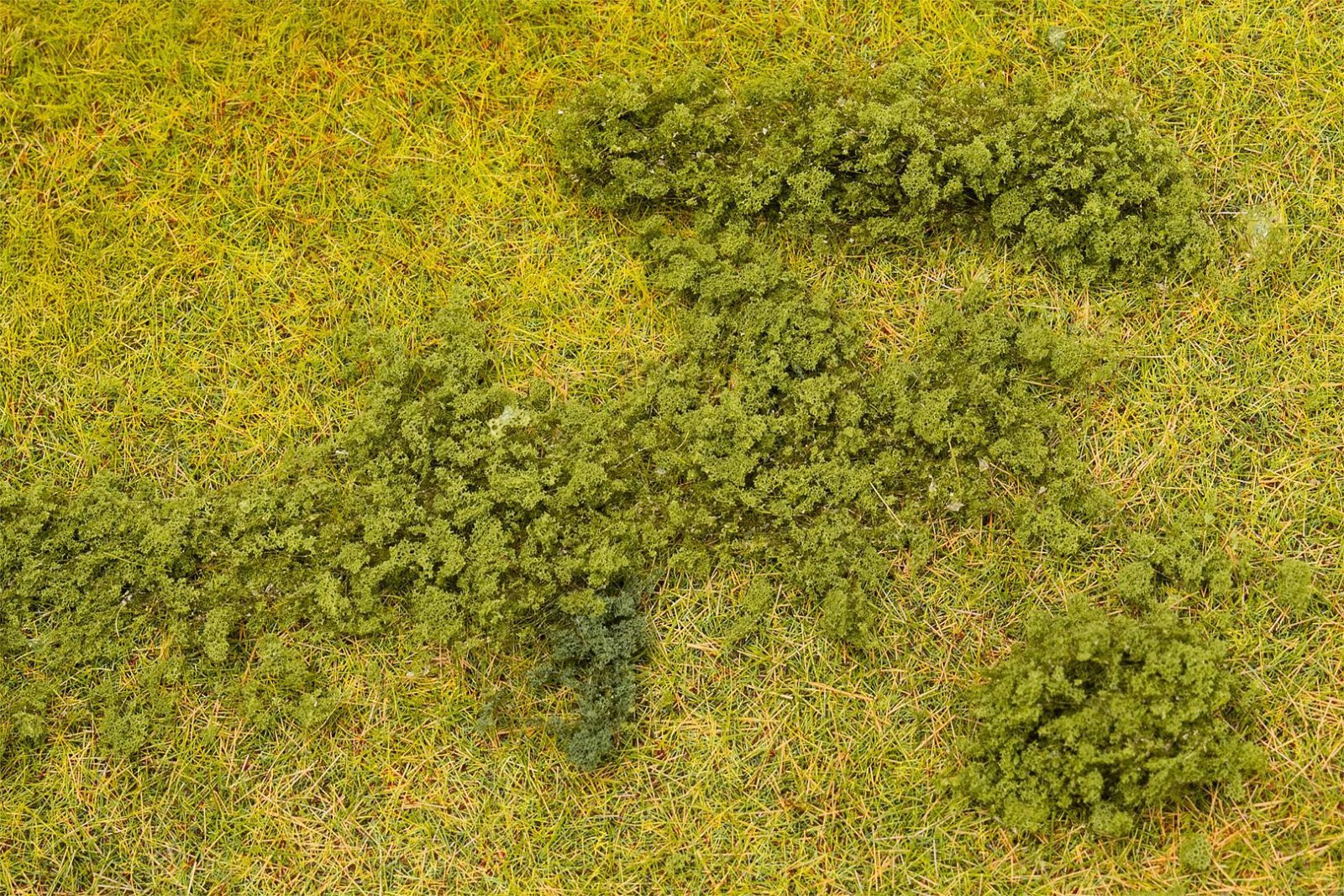 Blätterfoliage, Grün