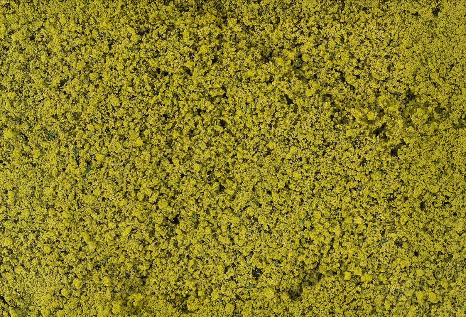 Blätterfoliage, Hellgrün