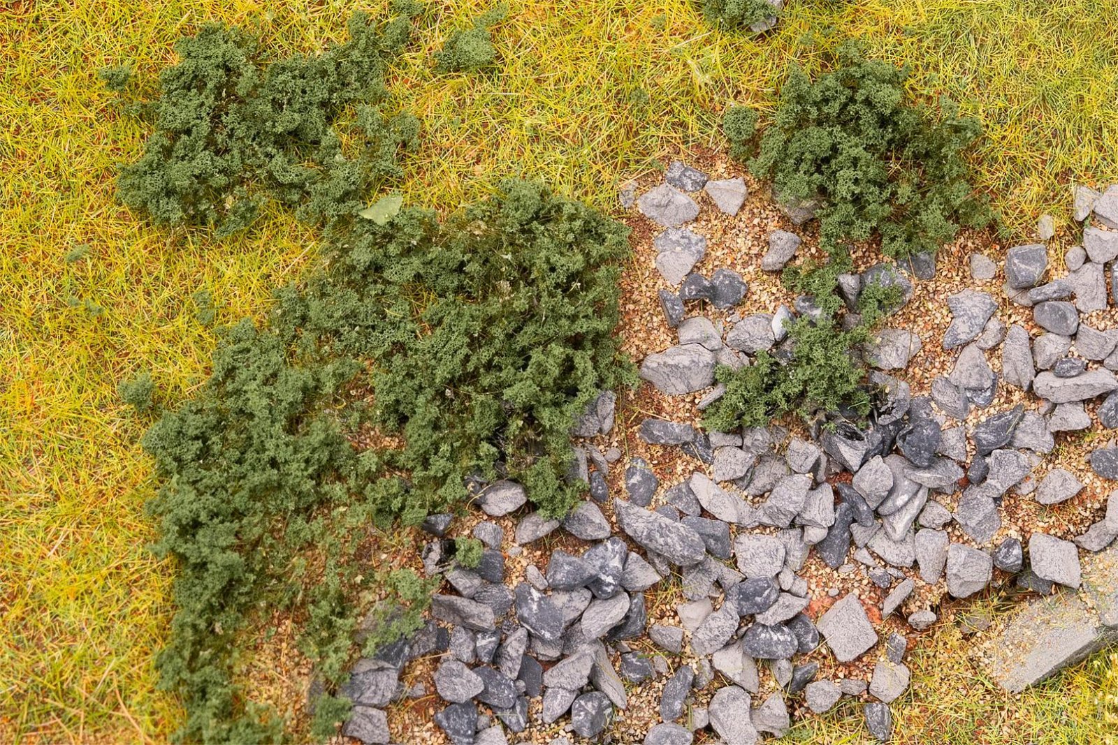 Blätterfoliage, Kieferngrün