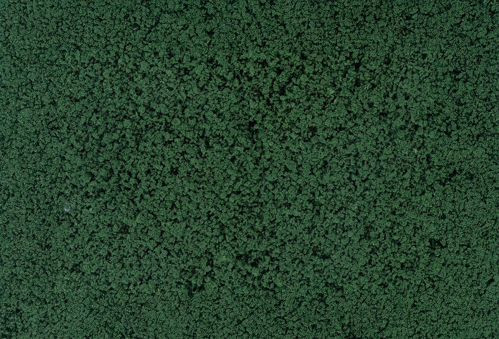 Blätterfoliage, Kieferngrün