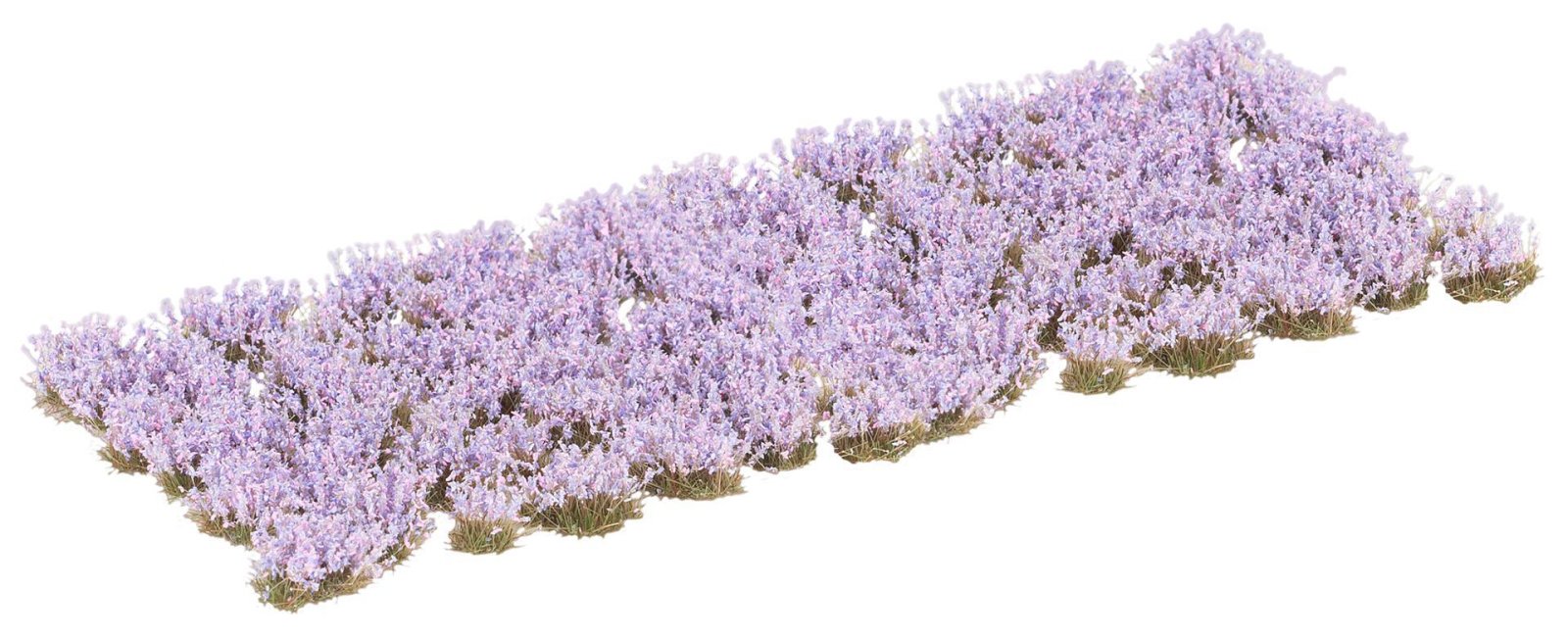 Blütenbüschel, Violett