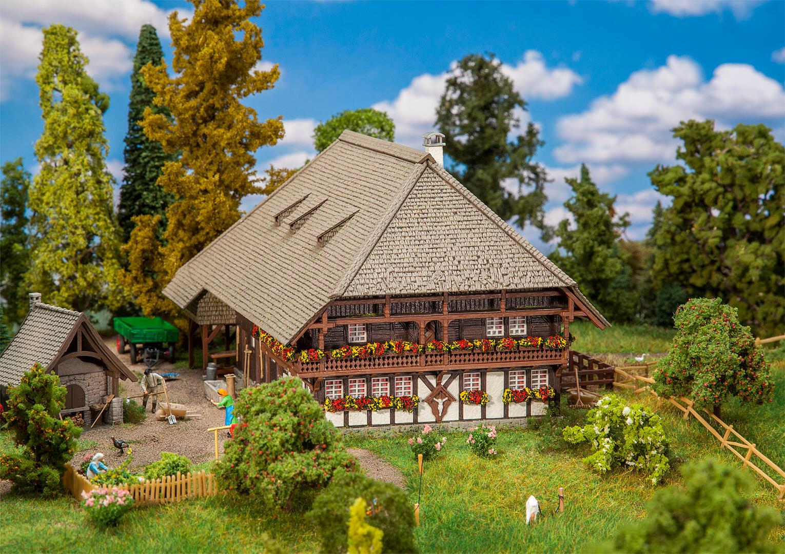 Boerderij Zwarte Woud