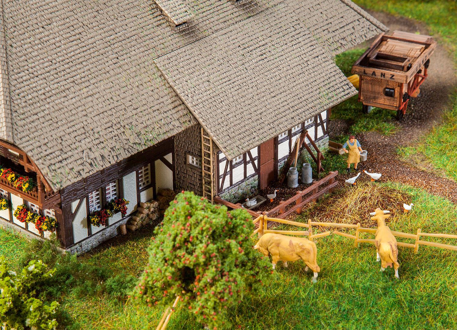 Boerderij Zwarte Woud