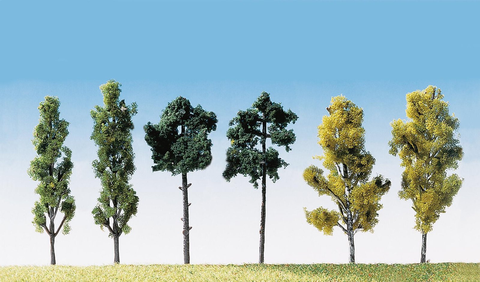 Bomen Gesorteerd 6 Stuks