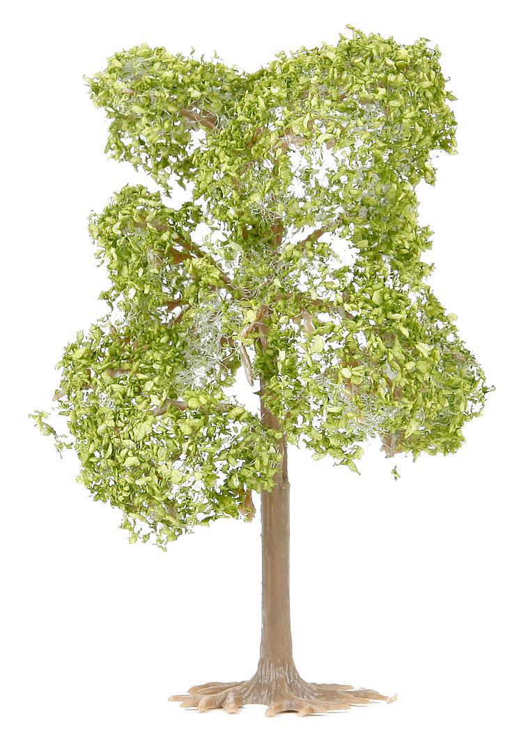 Boom Perenbomen 2 Stuks