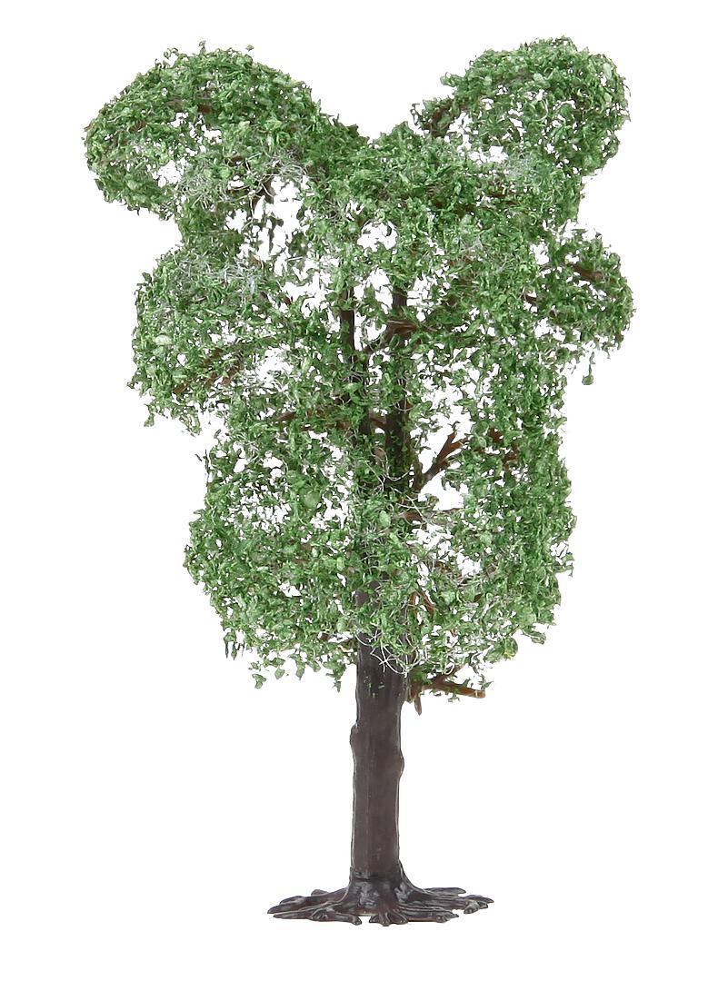 Boom Perenbomen 2 Stuks