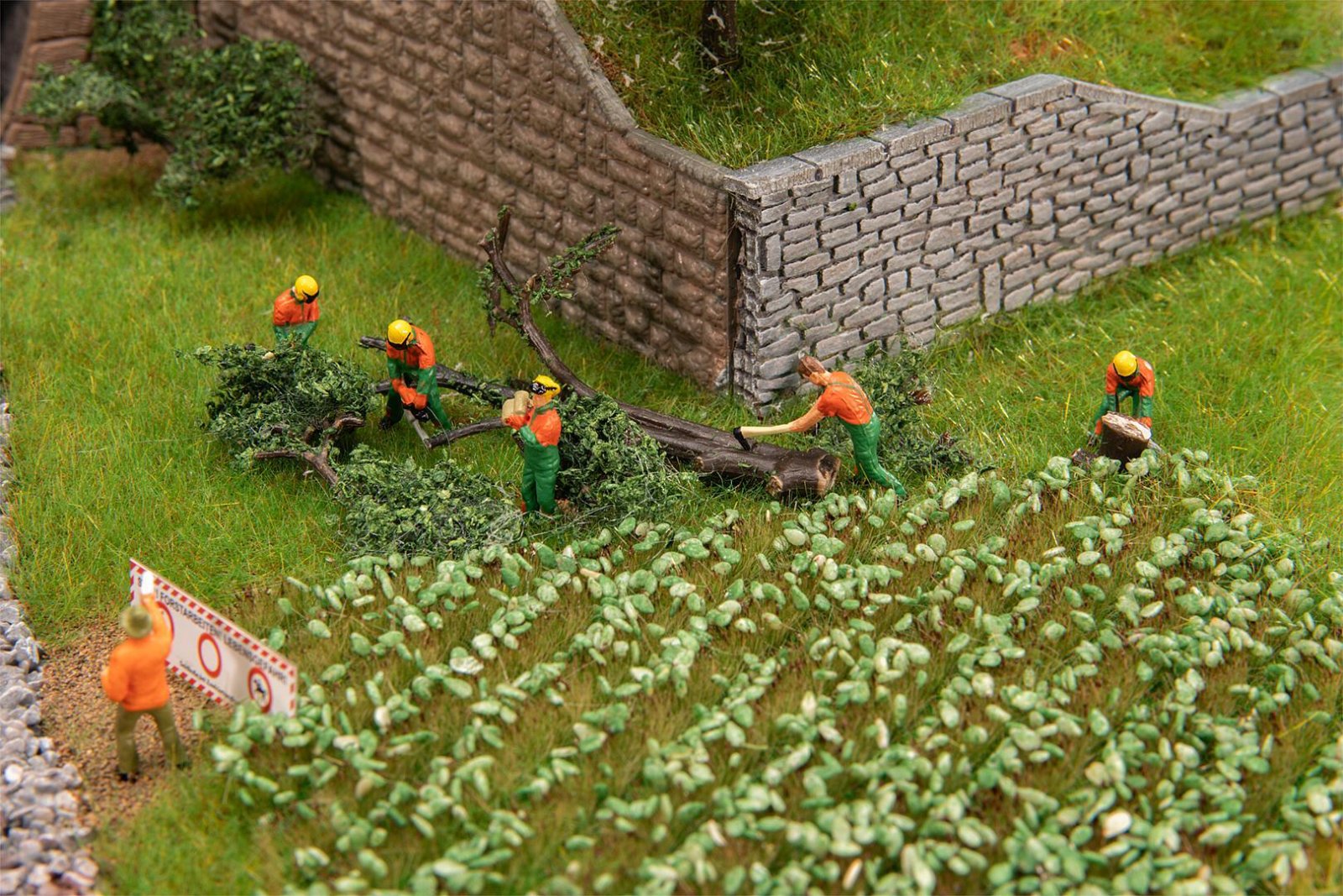 Bosarbeiders Met Moderne Apparatuur