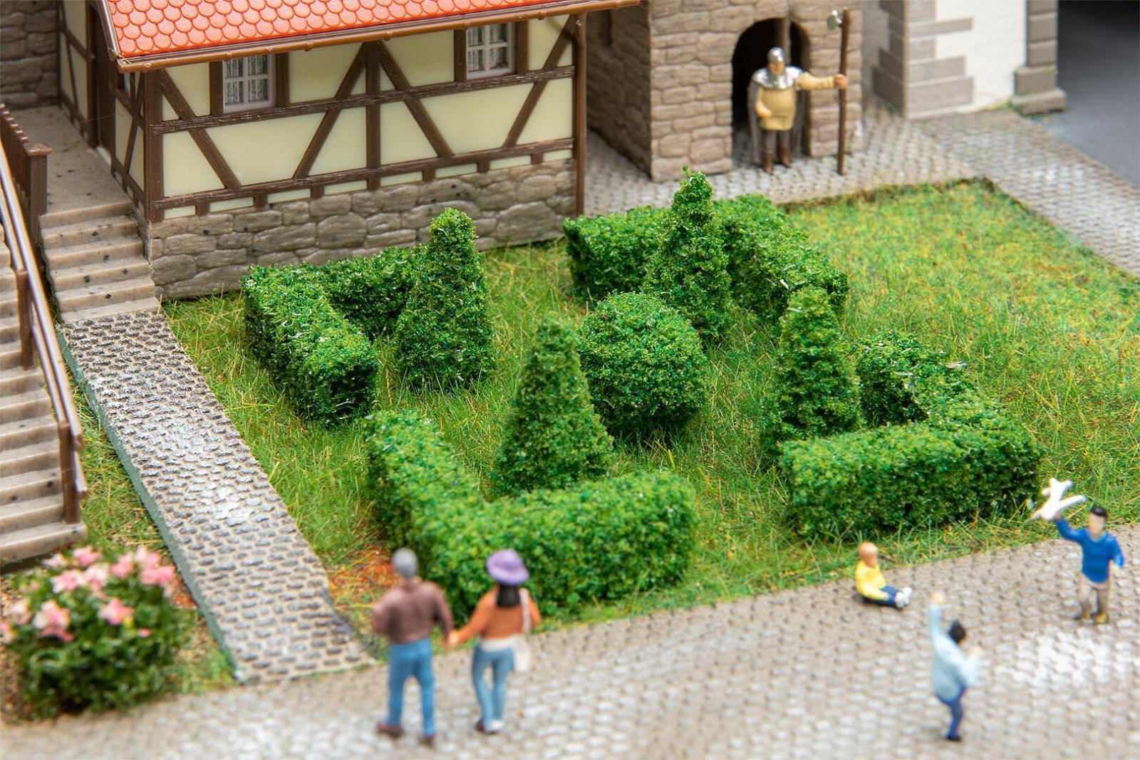 Buxus Set