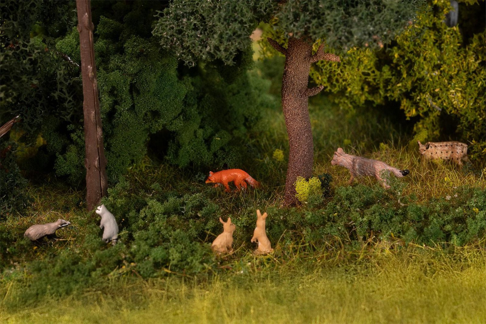Dieren In Het Bos