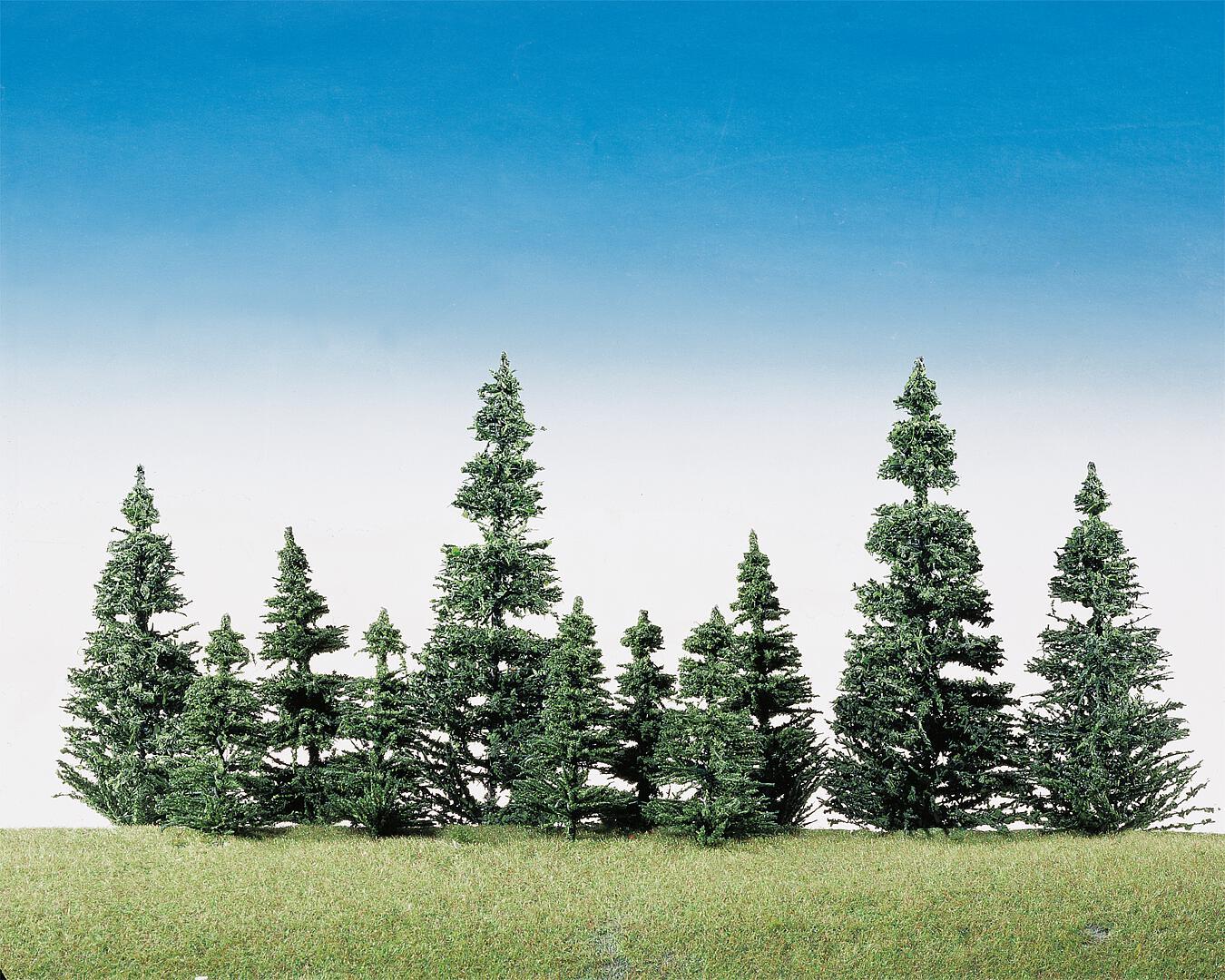 Edelsparren 40 Stuks
