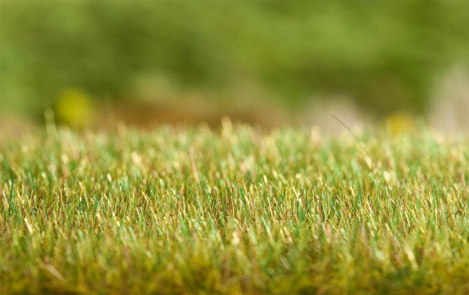 Grasstrooiapparaat Gras-Fix