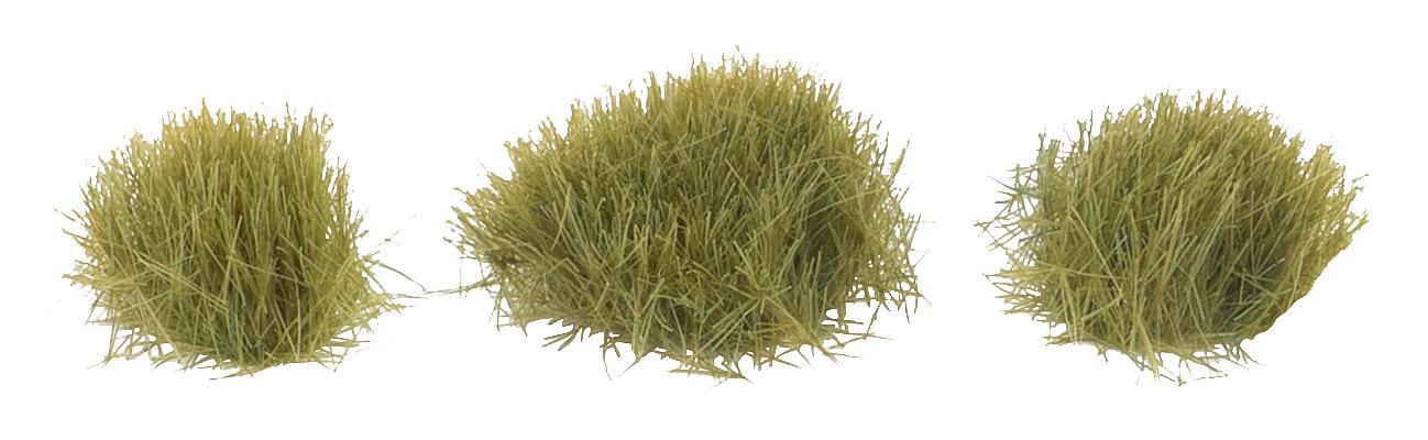 Große Grasbüschel, Trockenes Gras