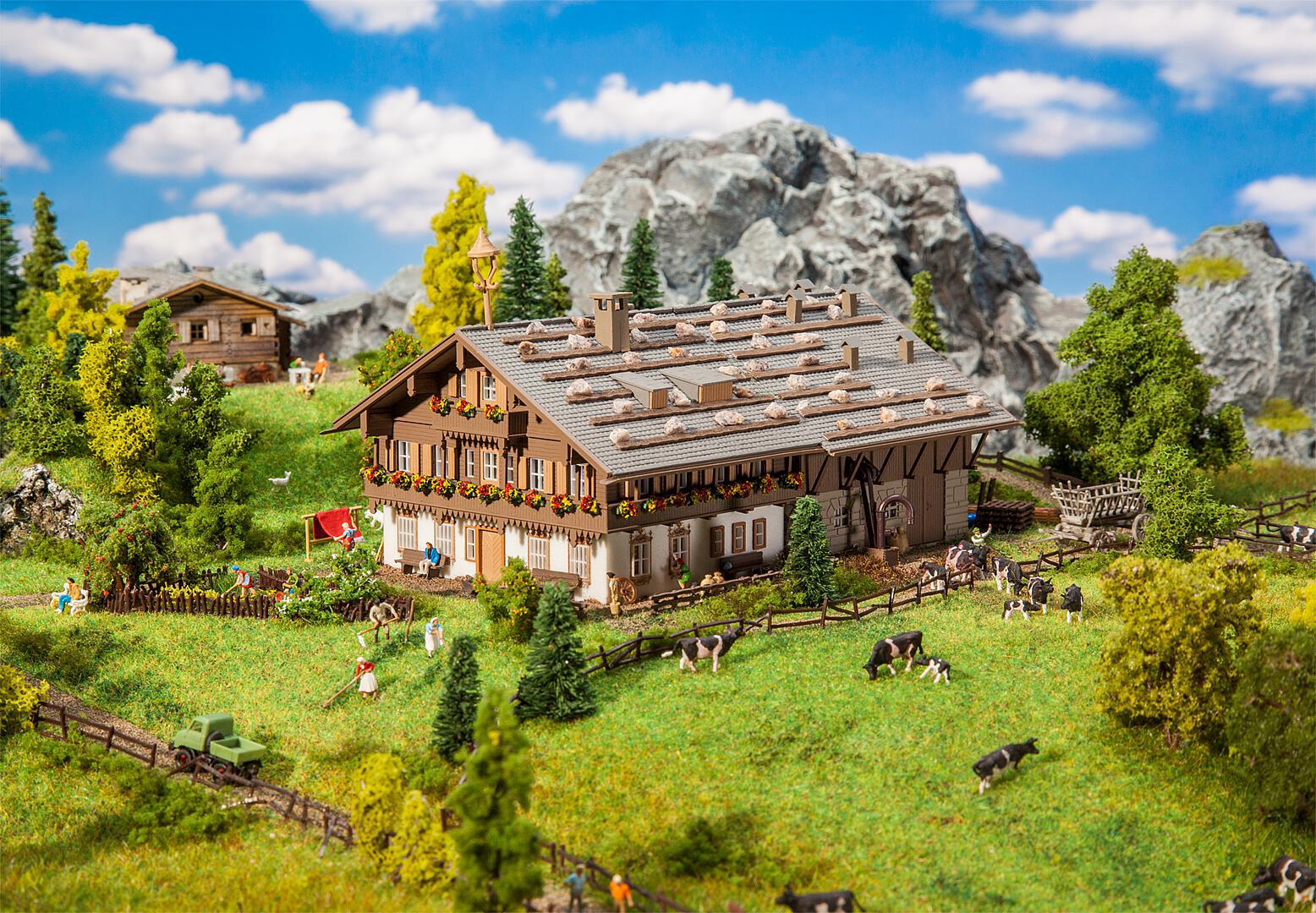 Grote Alpen Boerderij Met Schuur