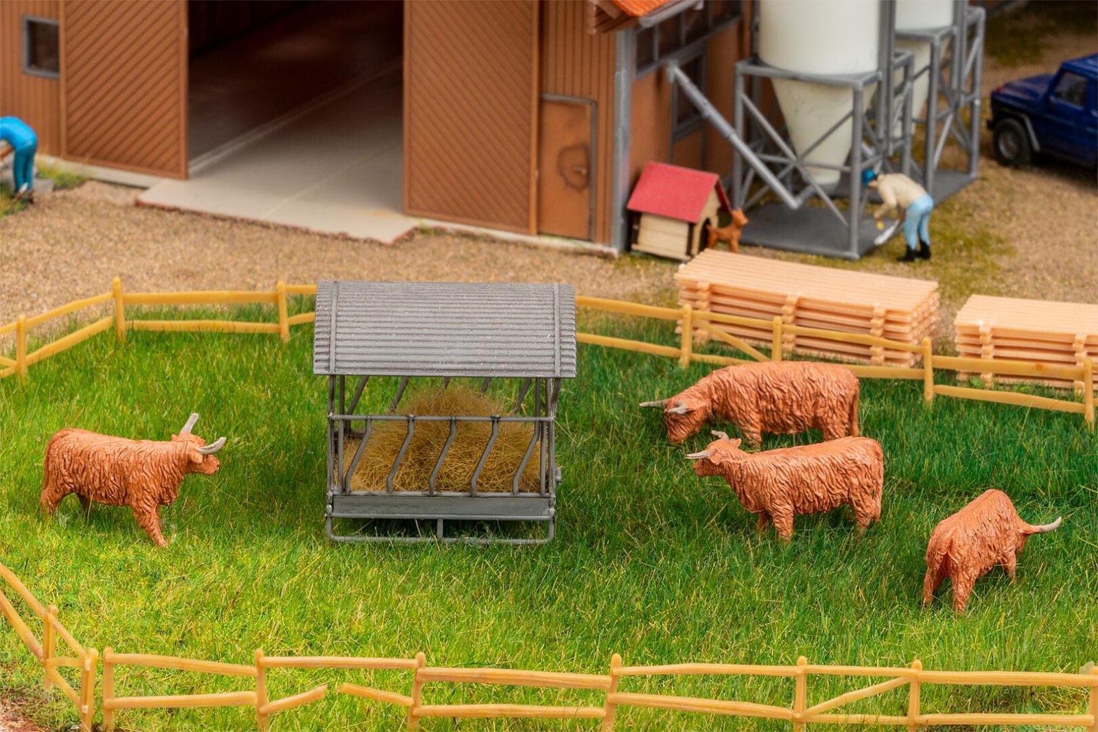 Hooglanders Rood