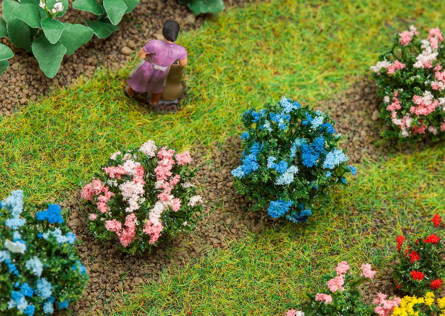 Hortensia's 12 Stuks