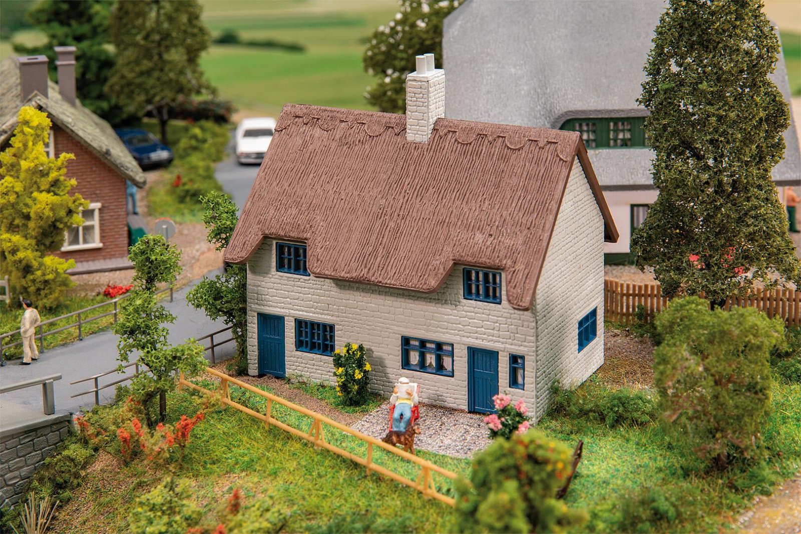 Huis Met Rieten Dak
