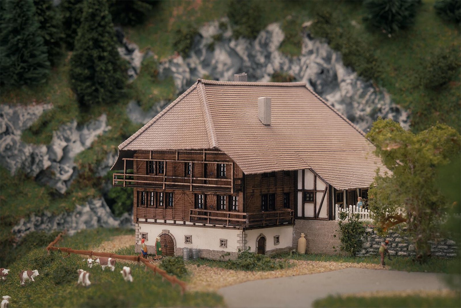 Jubiläumsmodell Schwarzwaldhof