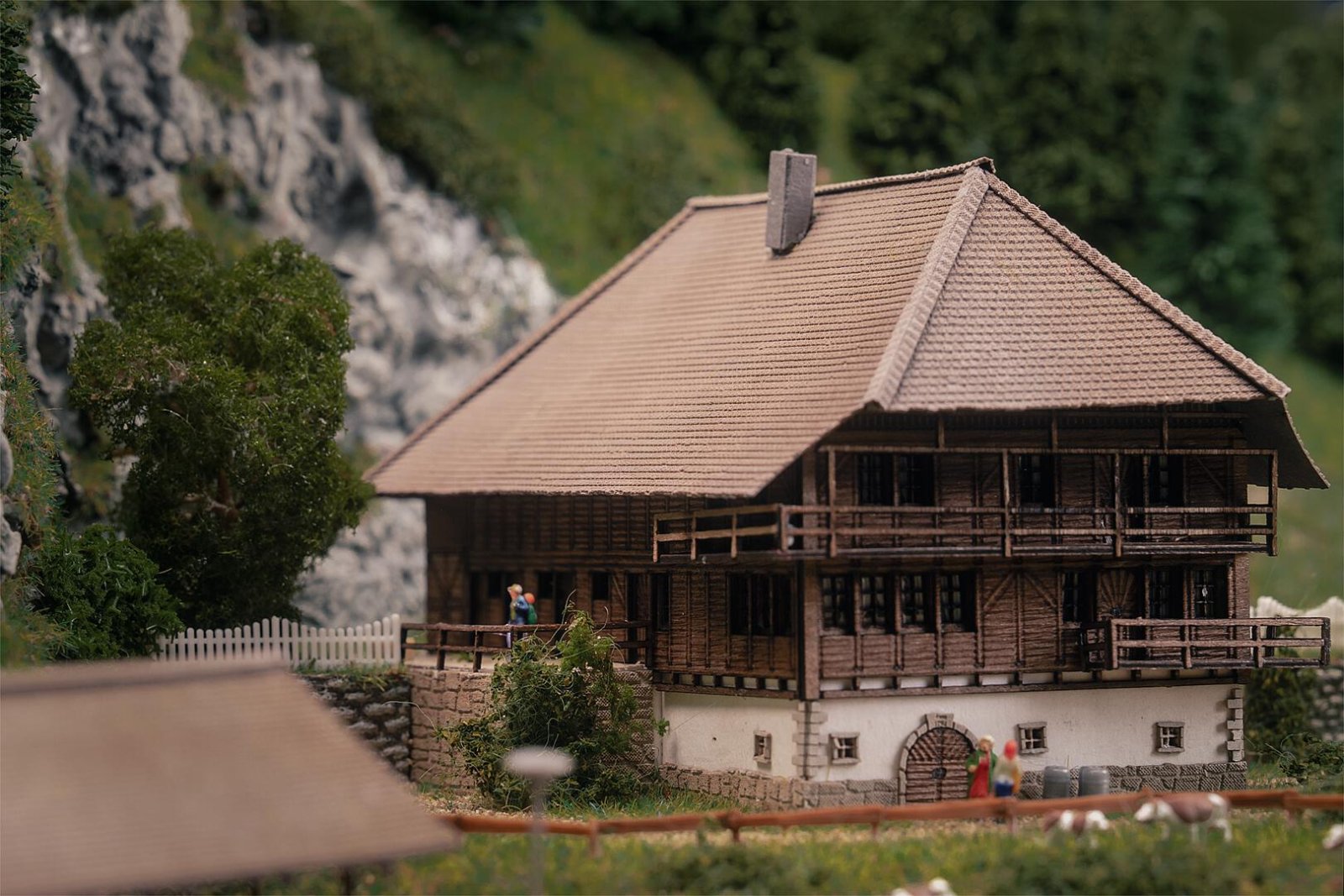 Jubiläumsmodell Schwarzwaldhof