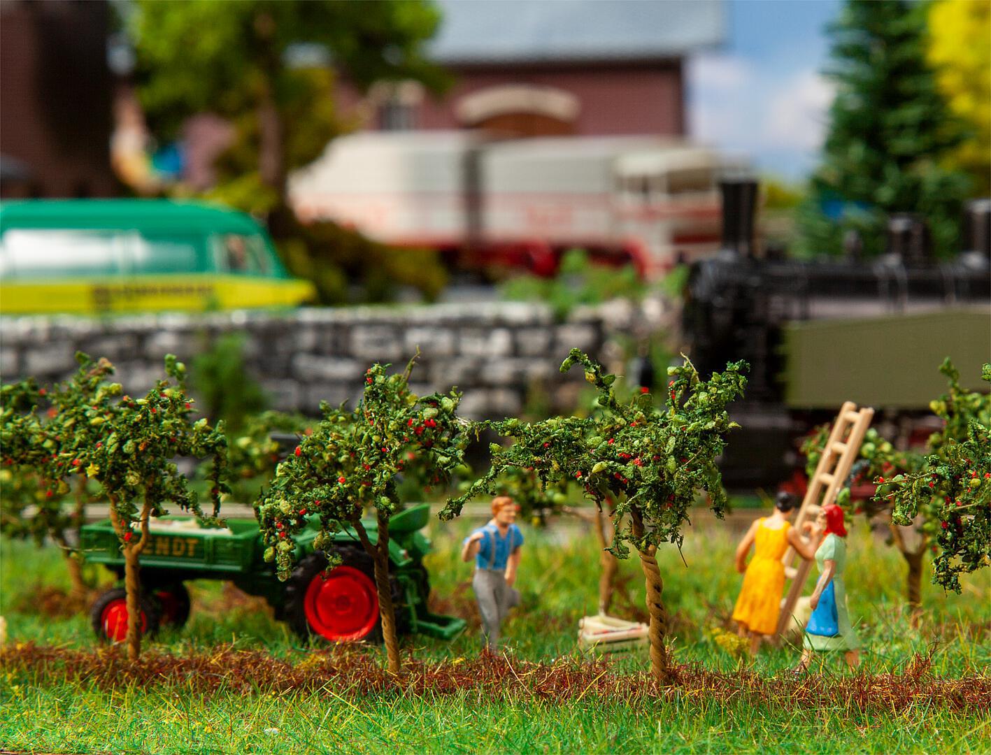 Kleine Appelbomen 10 Stuks