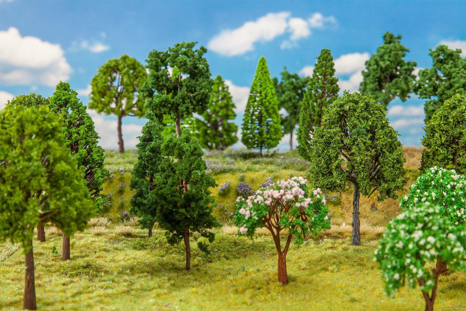Loofbomen 30 Stuks