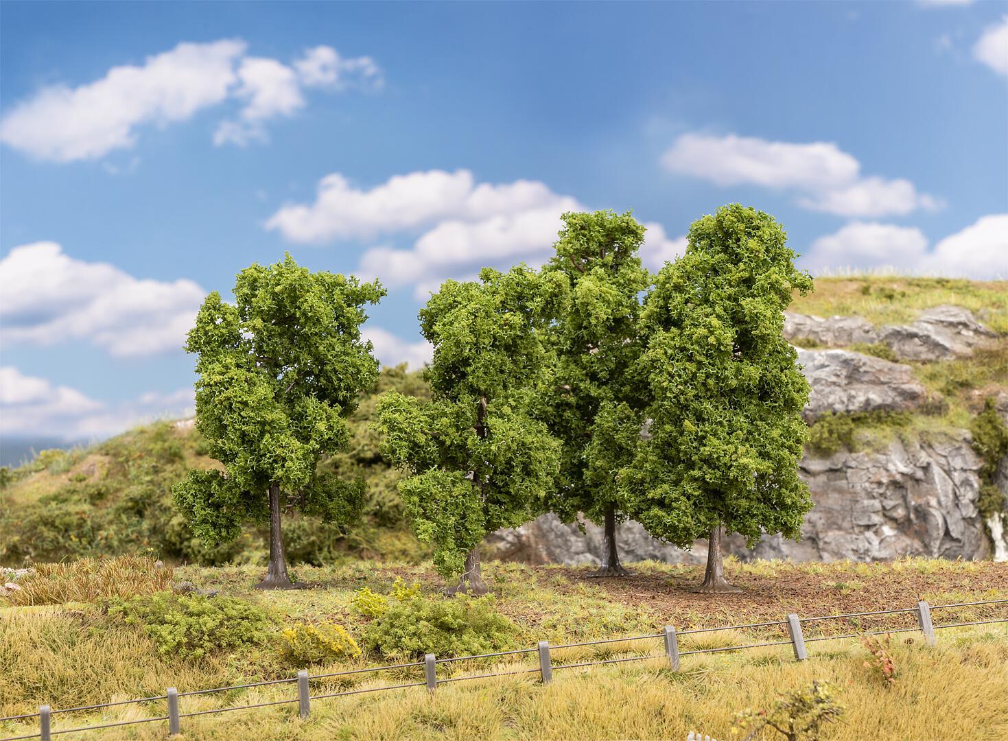 Loofbomen 4 Stuks