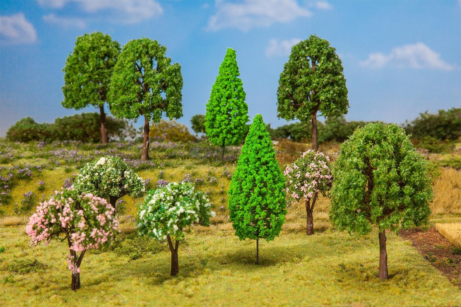 Loofbomen Gesorteerd 10 Stuks