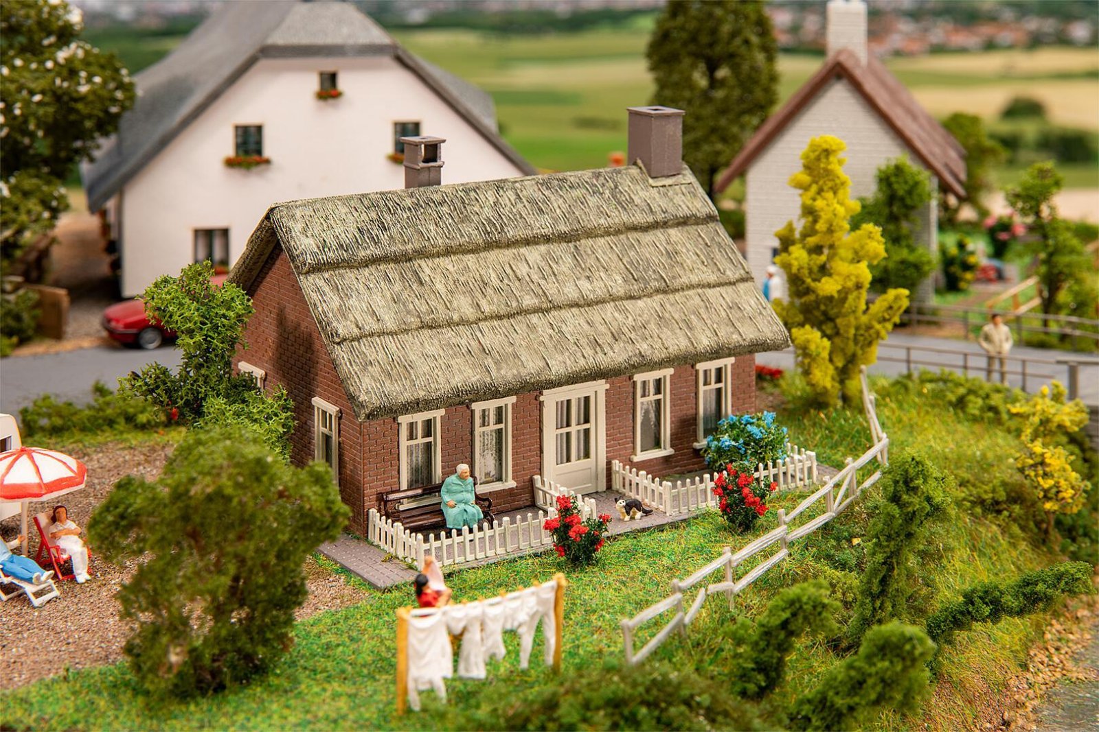 Noord-Duits Huis Met Rieten Dak