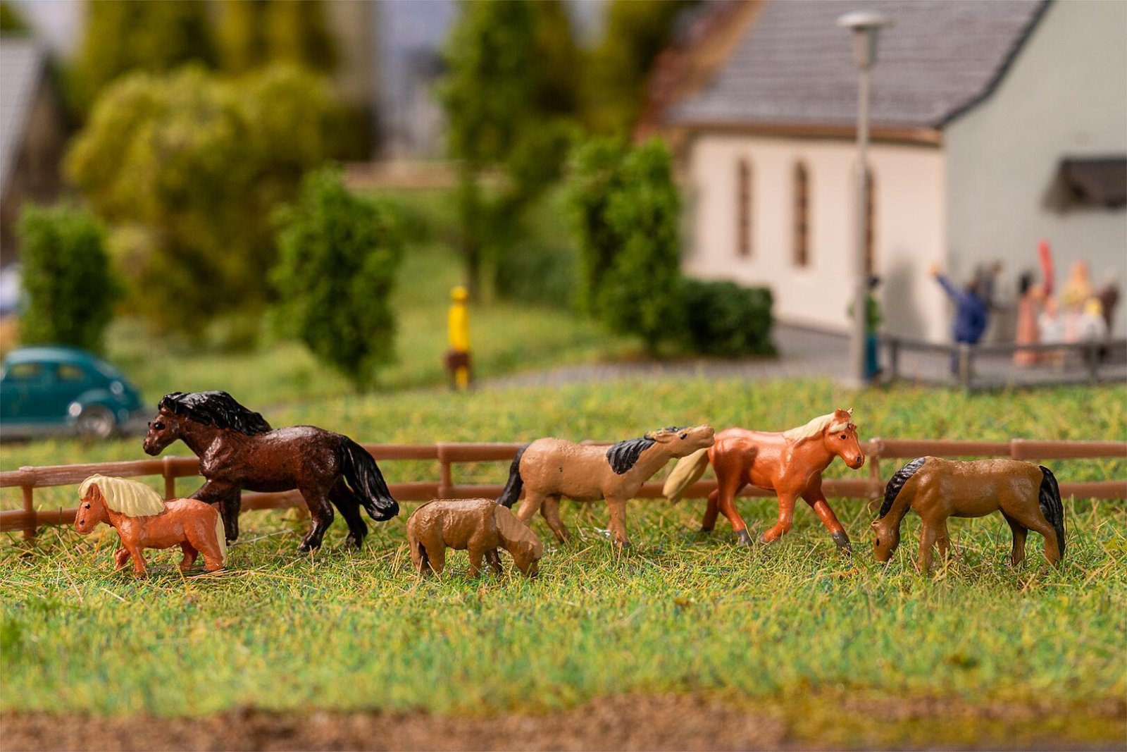 Paarden En Pony's
