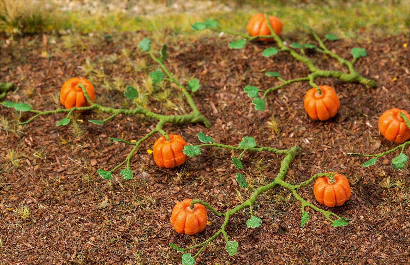 Pompoenen 6 Stuks