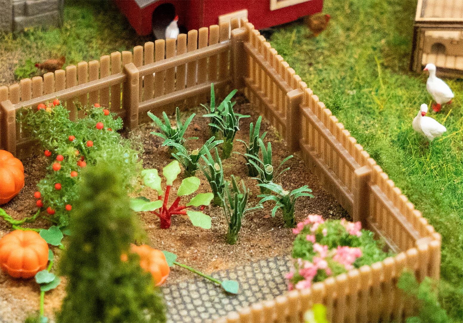Preiplanten 20 Stuks