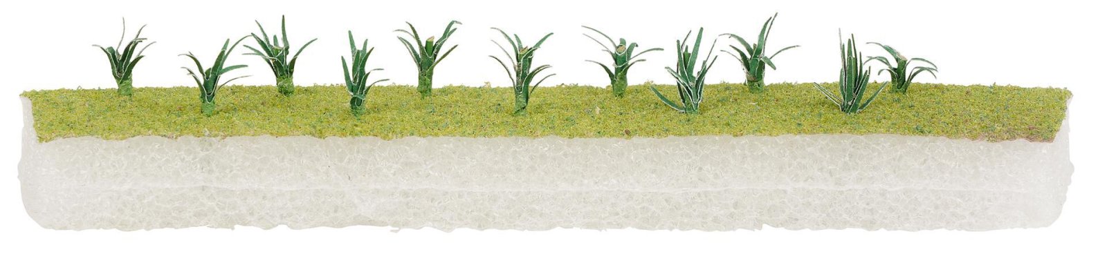 Preiplanten 20 Stuks