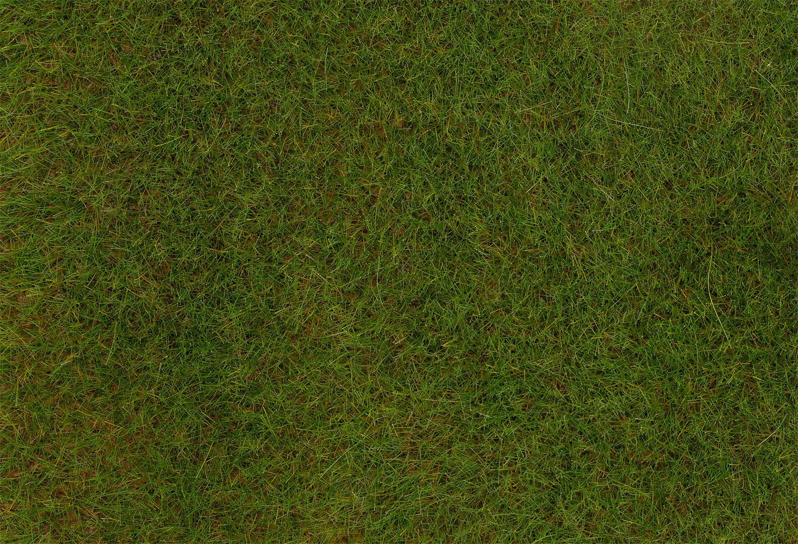 Premium Strooimateriaal Voorjaarsweide 6 Mm 30 G