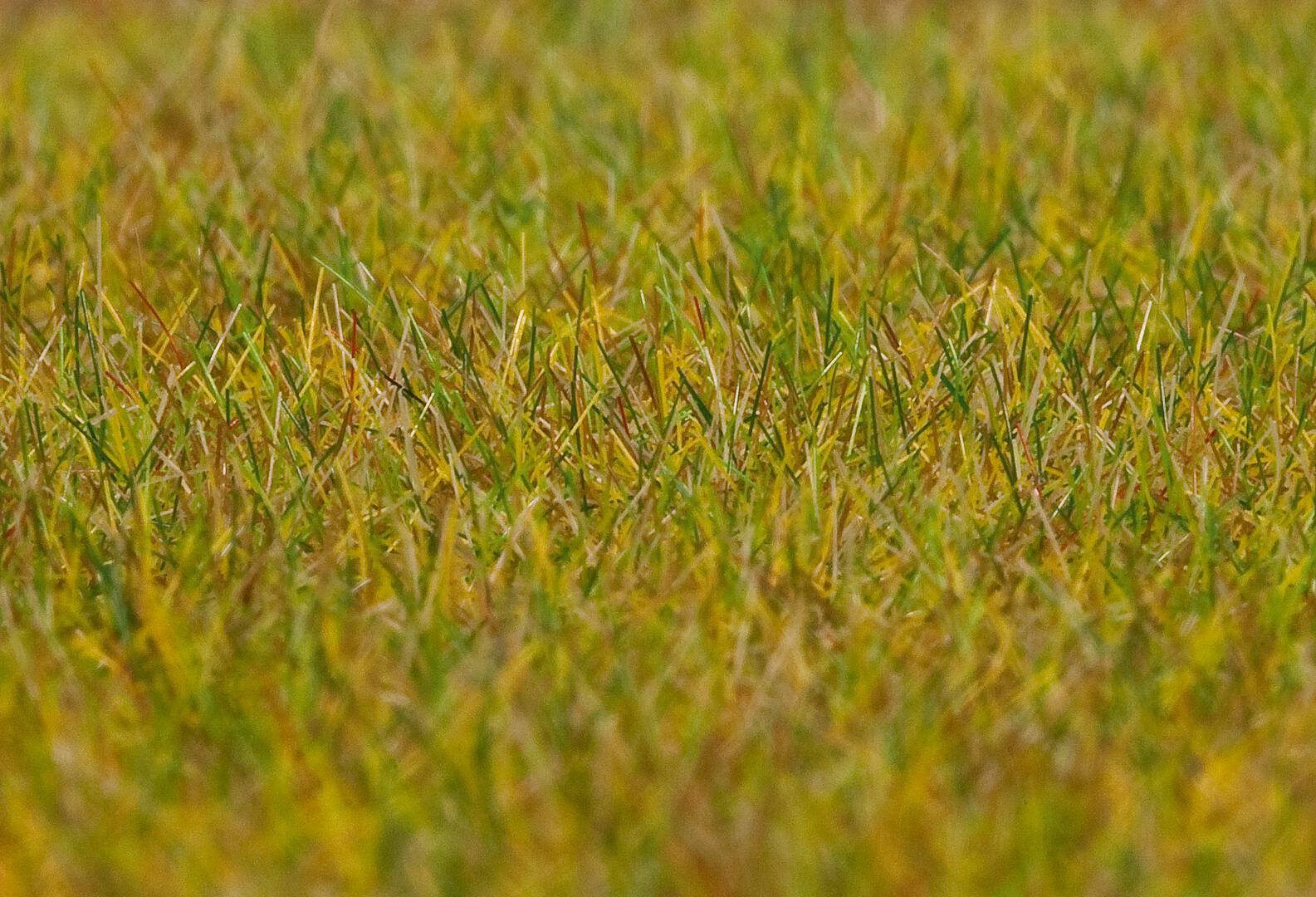 Premium Strooimateriaal Wei Lichtgroen 6 Mm 30 G