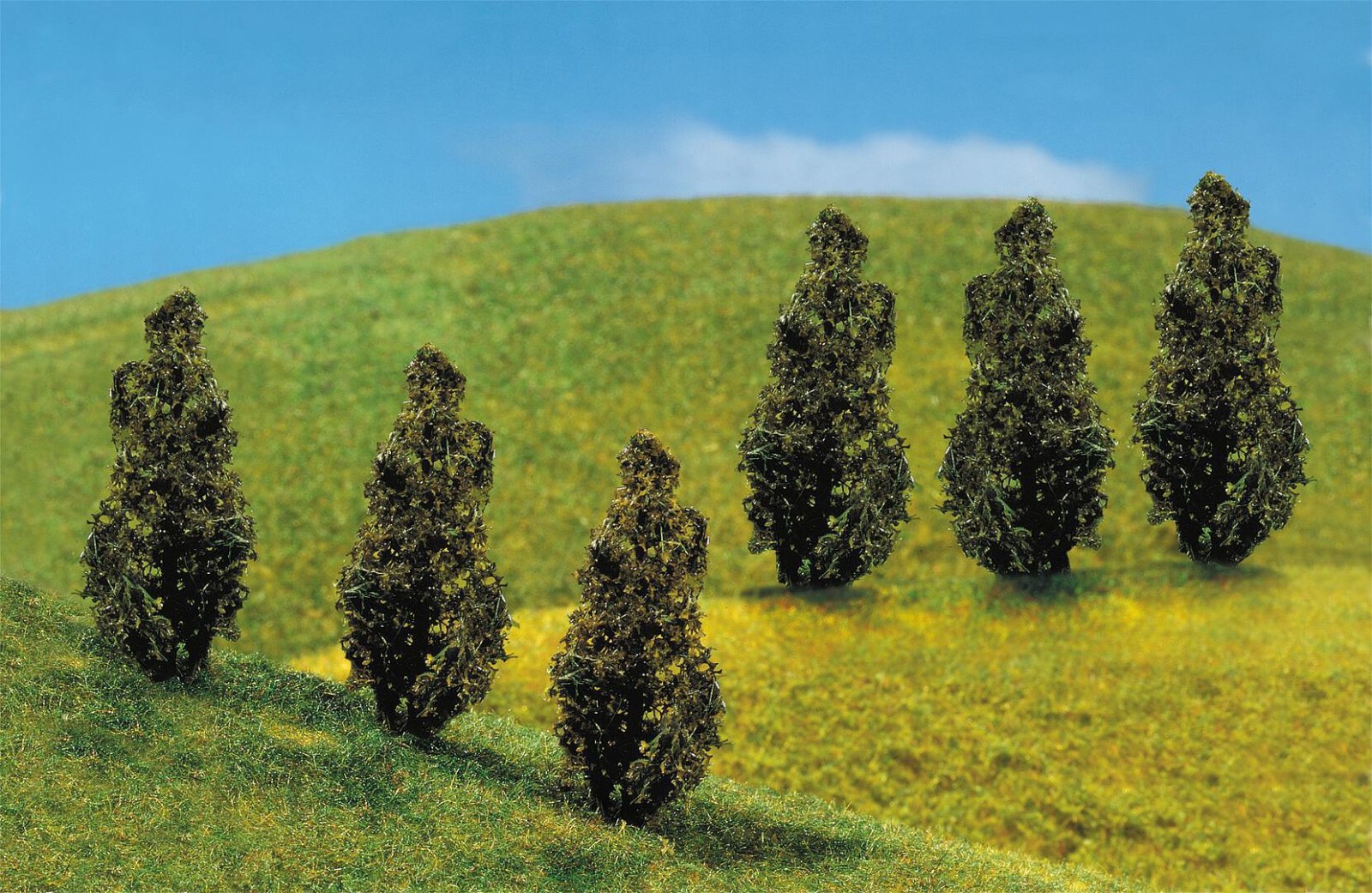 Premium Thuja (Levensboom) 6 Stuks
