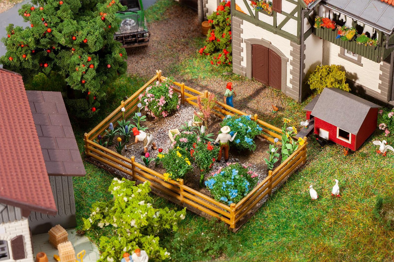 Siertuin Met Bloemen En Struiken