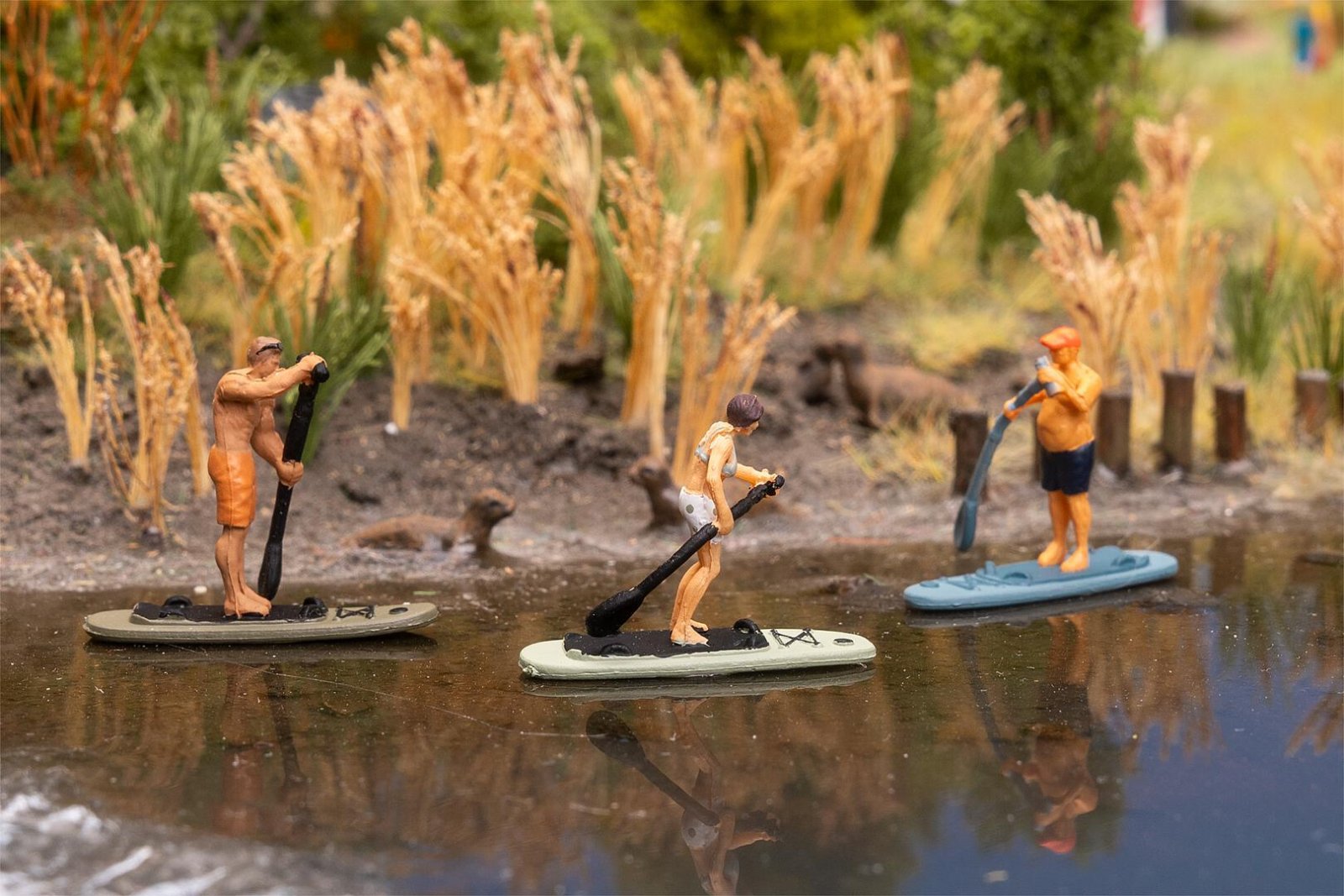 Stand-Up-Paddler