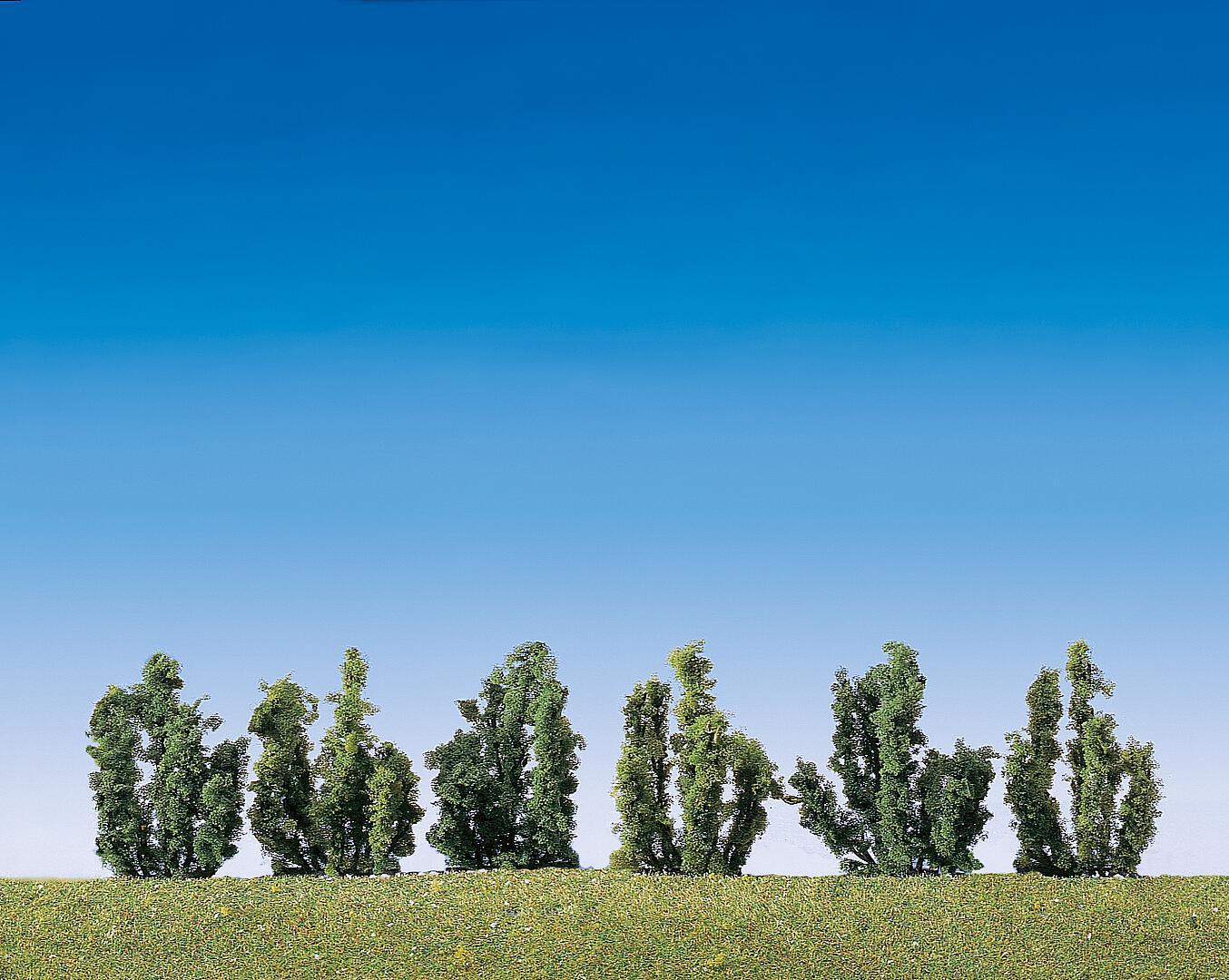 Struiken 6 Stuks