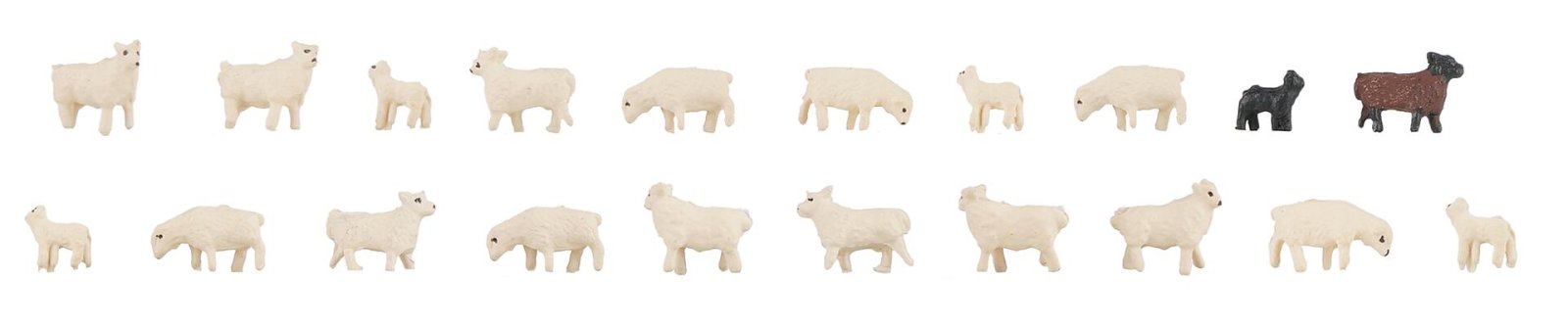 Tamme Schapen 20 Stuks