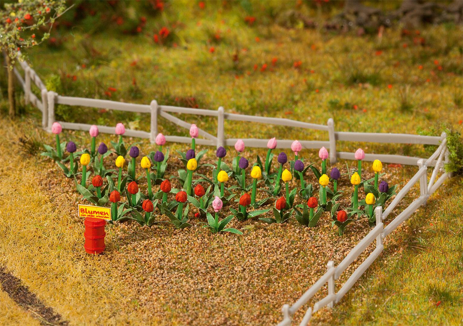 Tulpen 36 Stuks