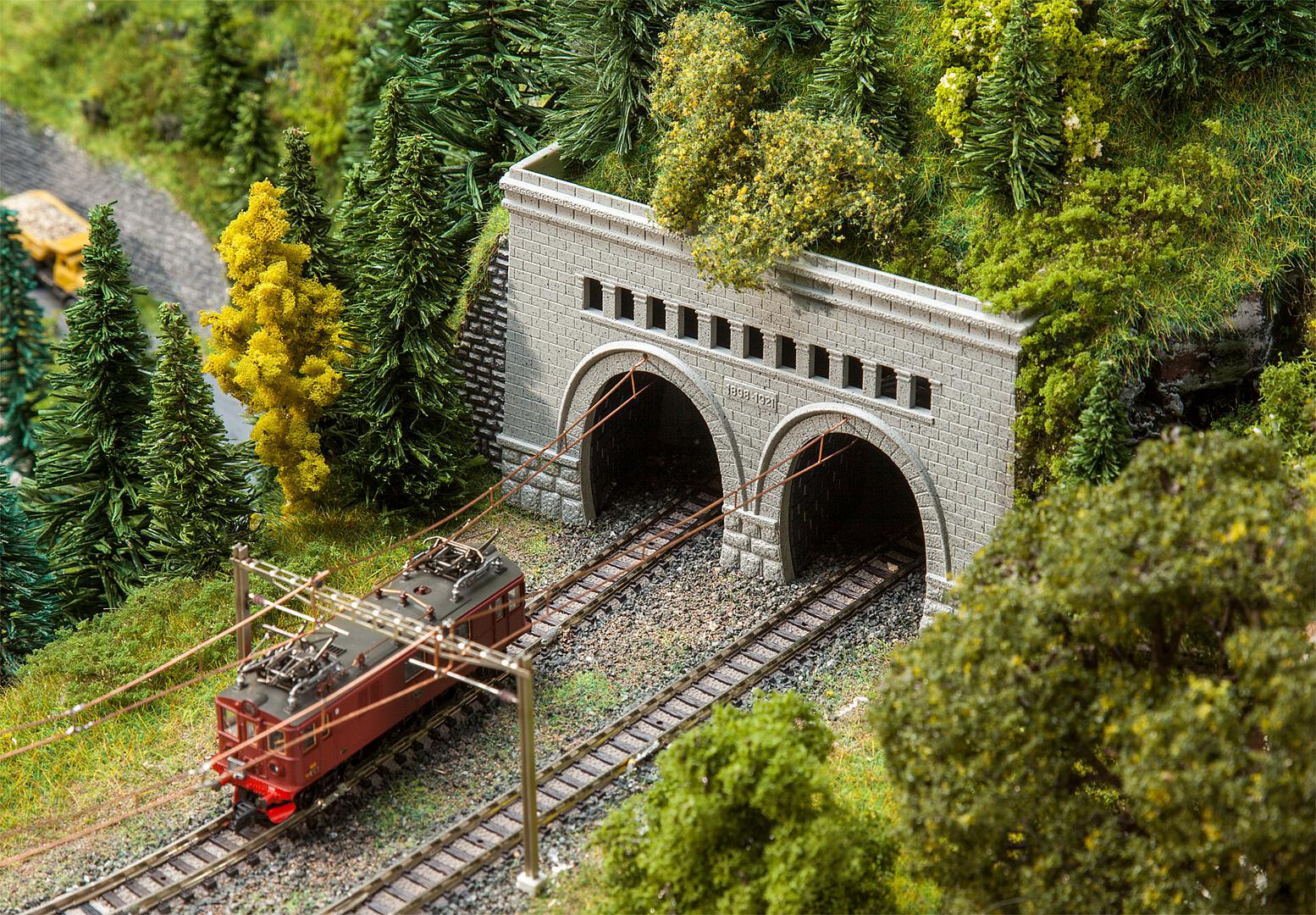 Tunnelingangen Simplon Noorden En Zuiden