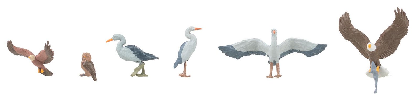 Wildvögel