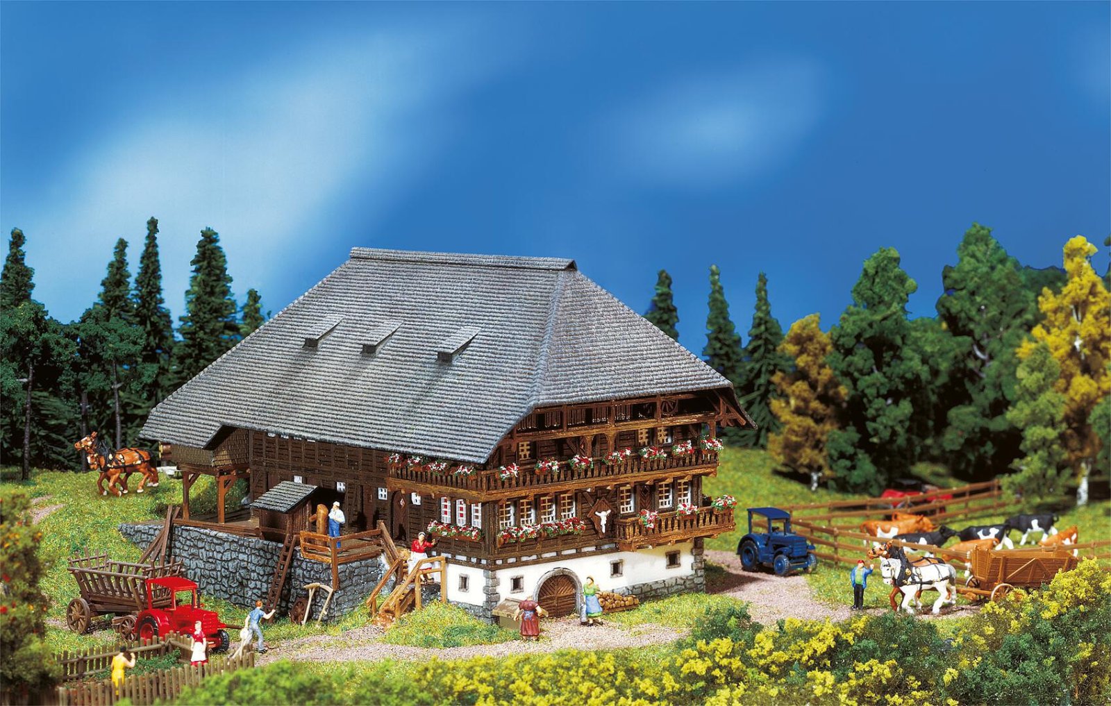 Zwarte Woud Boerderij