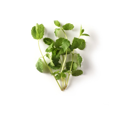 Ingredienti