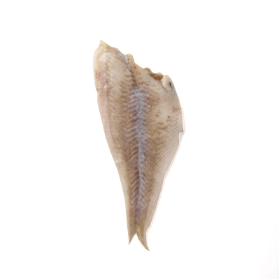 Ingredienti