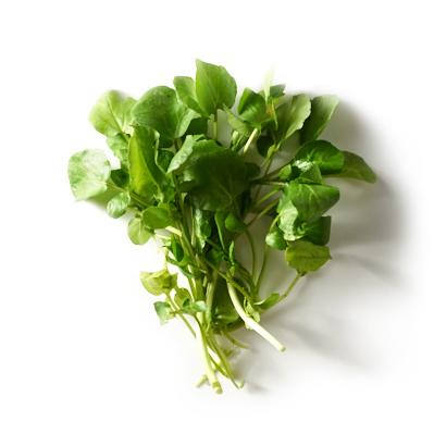 Ingredienti