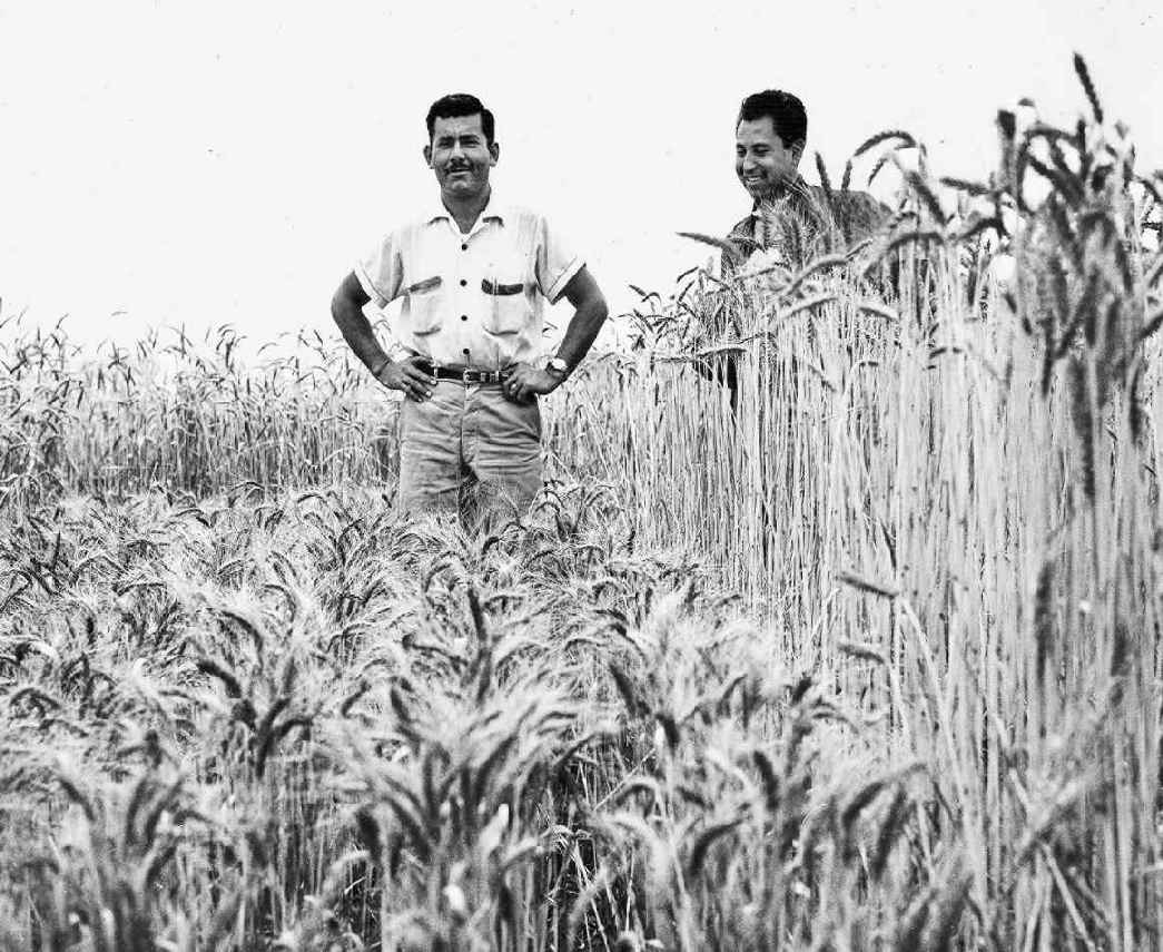 Quelle: Rockefeller Archive Center