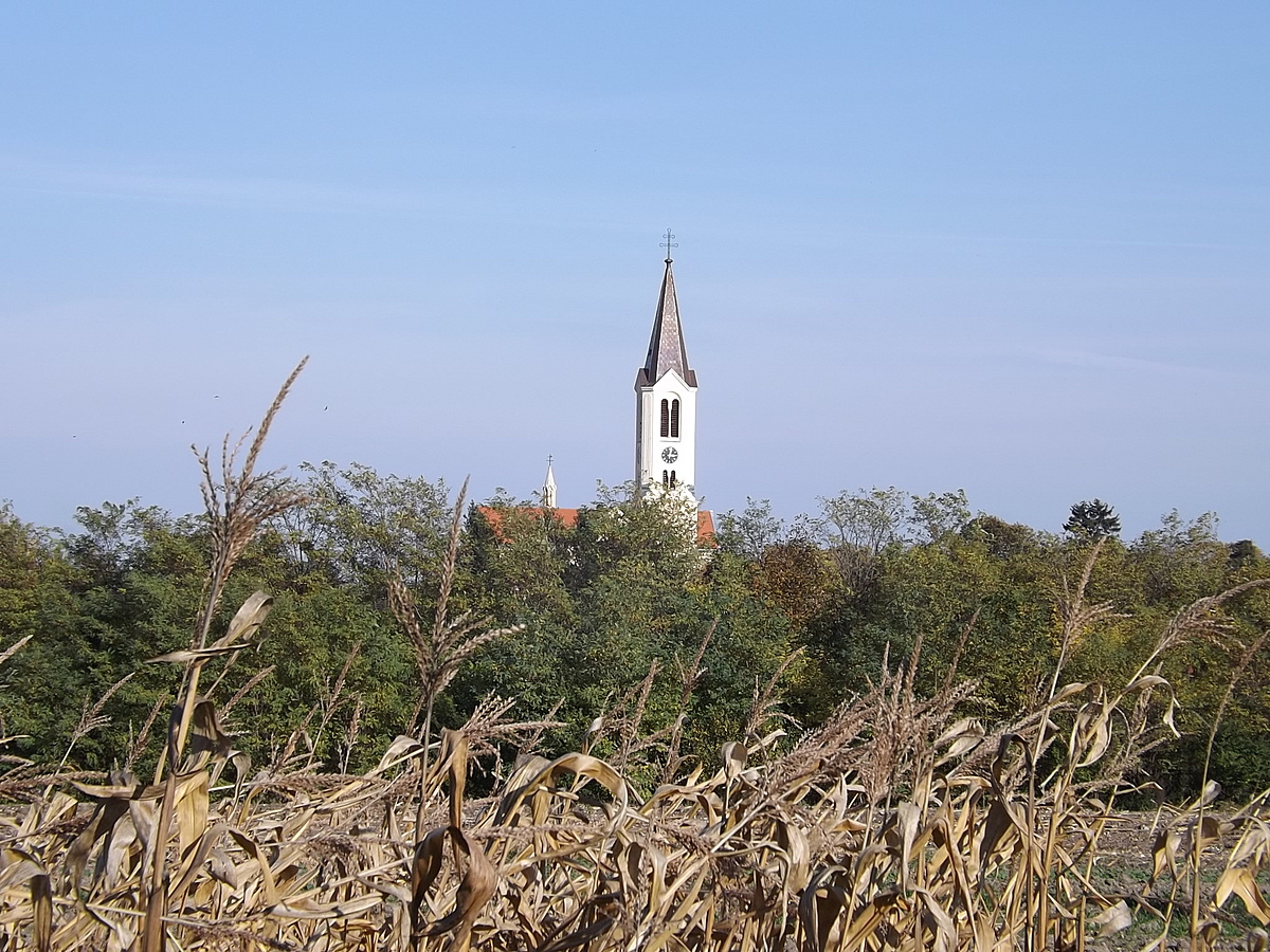 Cenki ősz
