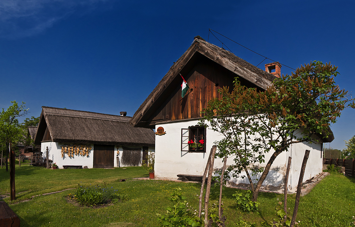Muzeális életforma 