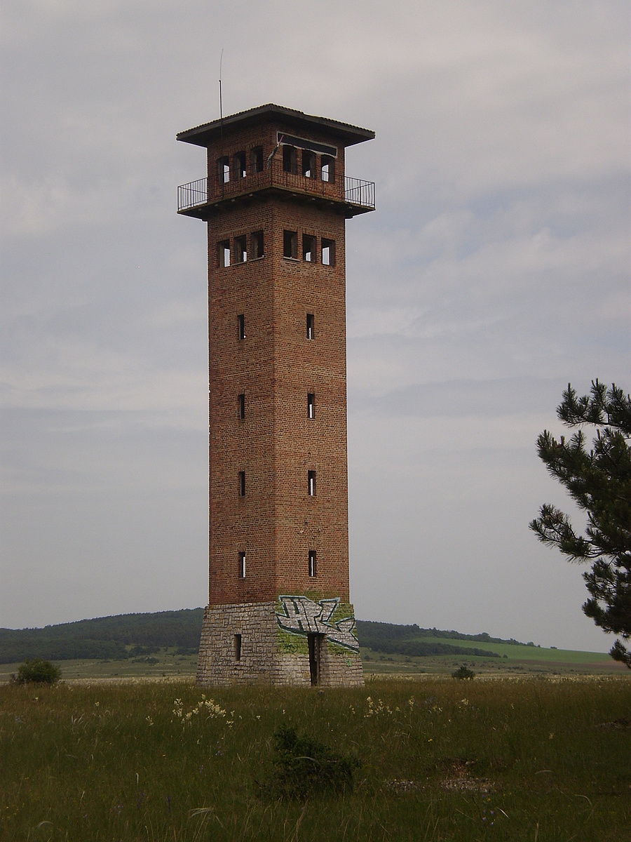 Magányosan a pusztaságban